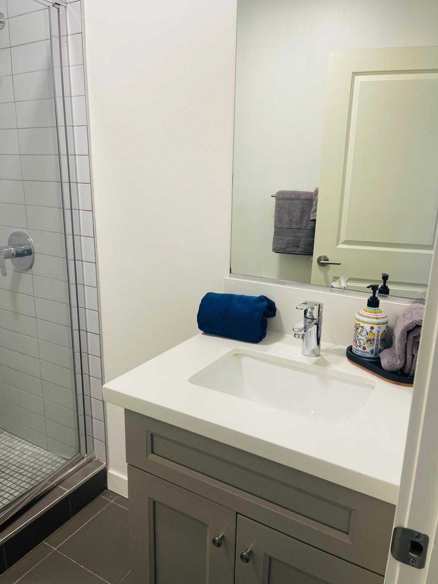 Apartment 1 Bedroom 1 Bathroom Near Crypto Center